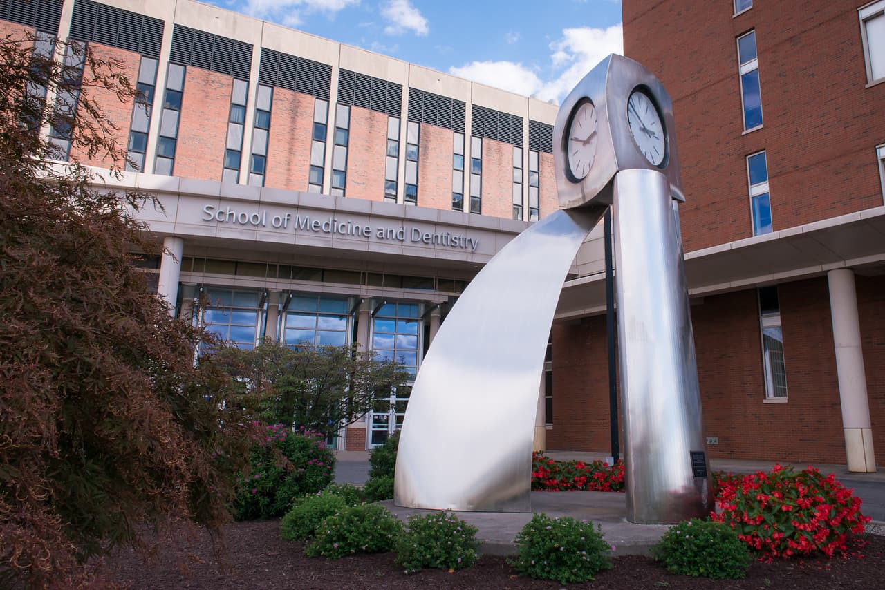 University of Rochester School of Medicine and Dentistry - Doctor in Rochester, NY