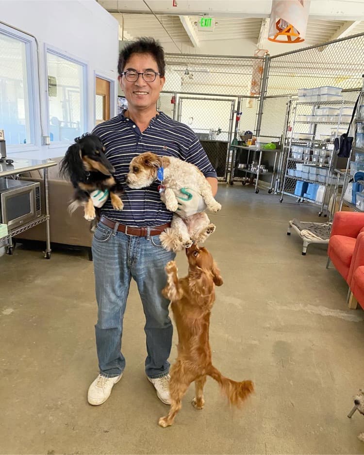 Dogpile Dogs - Pet groomer in San Francisco, CA