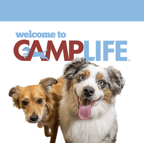Camp Bow Wow Pittsburgh East - Pet groomer in Monroeville, PA