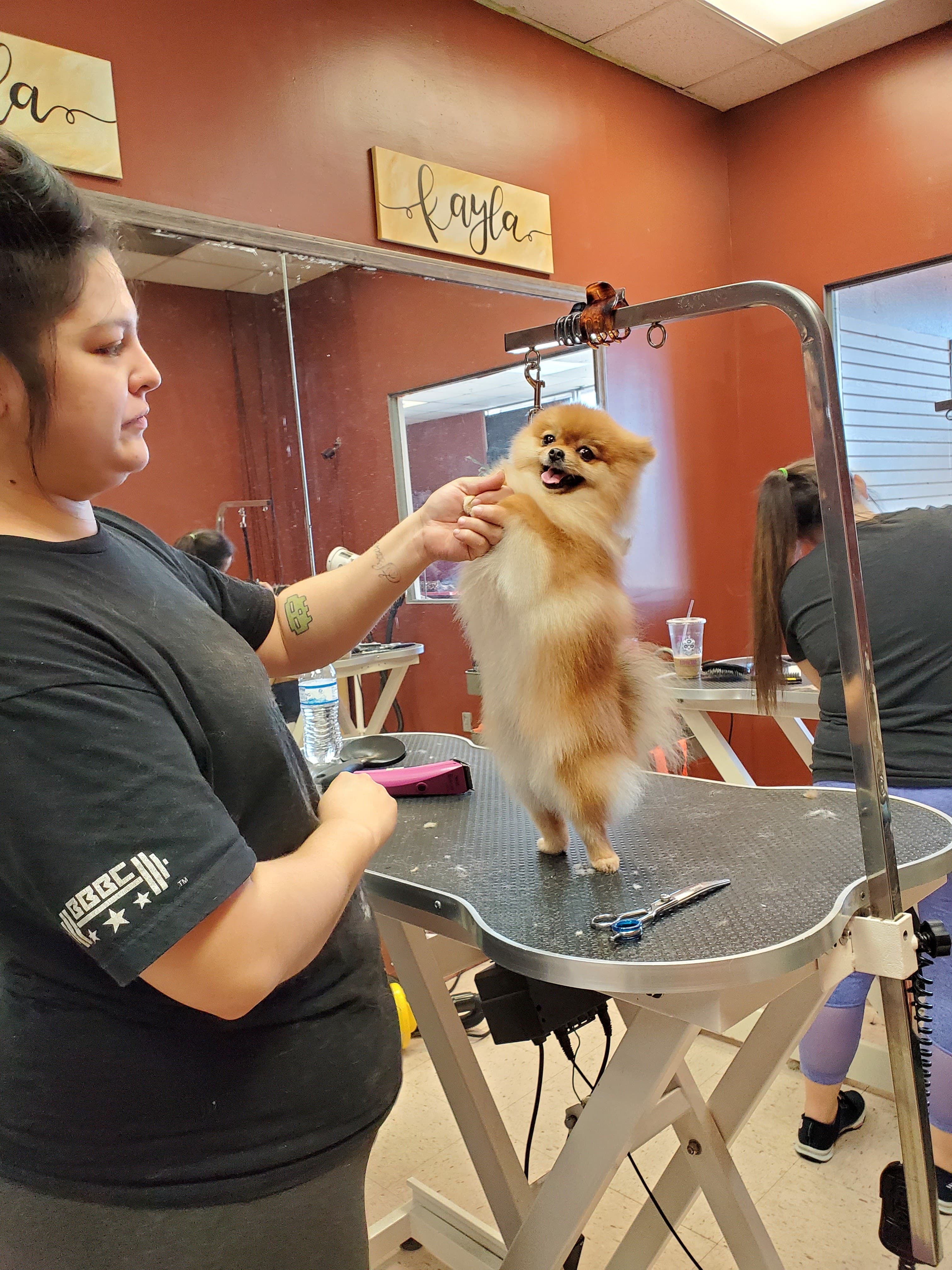 The Pooch Pawlor - Pet groomer in San Antonio, TX