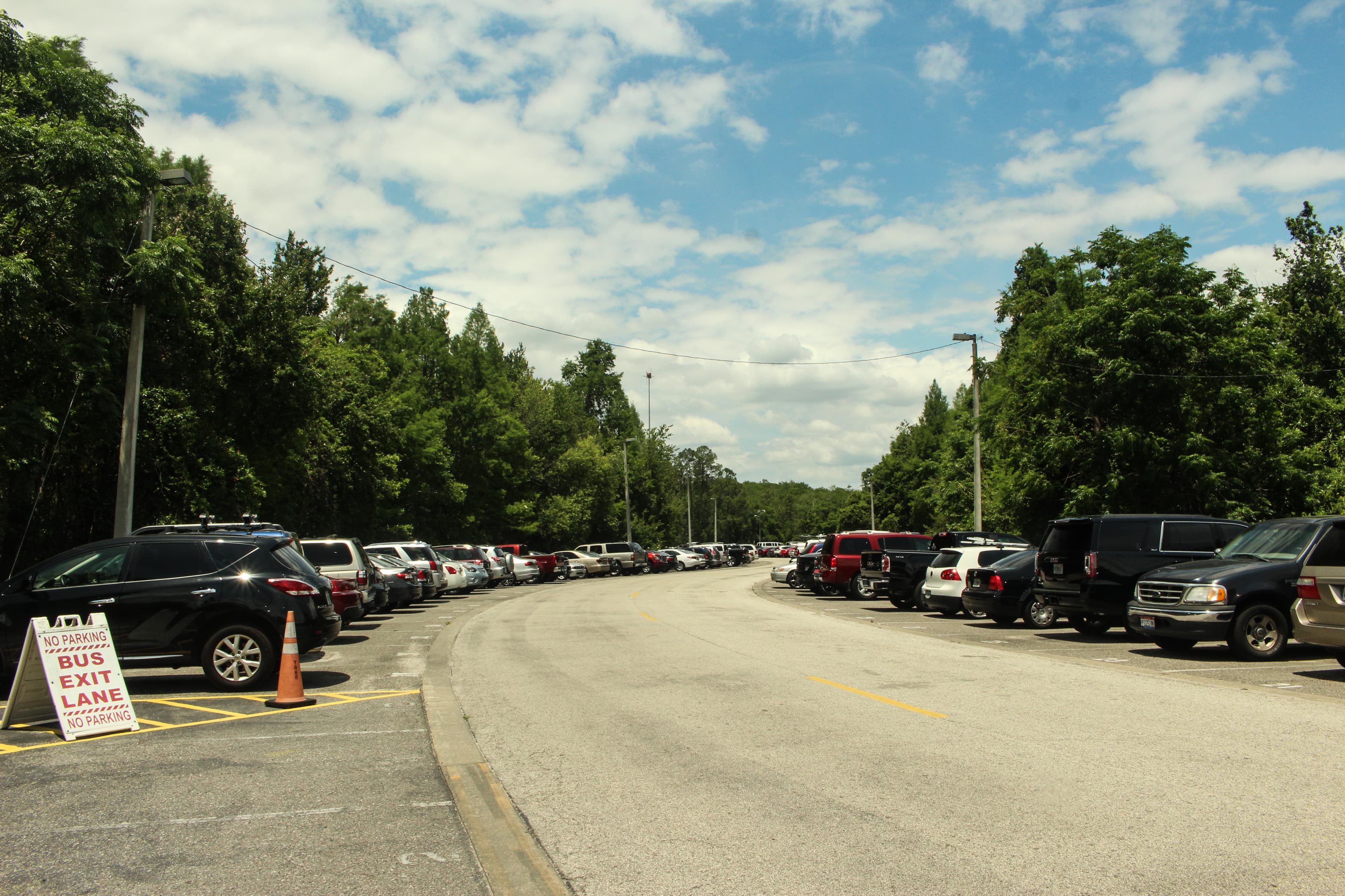 Bark & ââFly Park - Parking in Orlando, FL