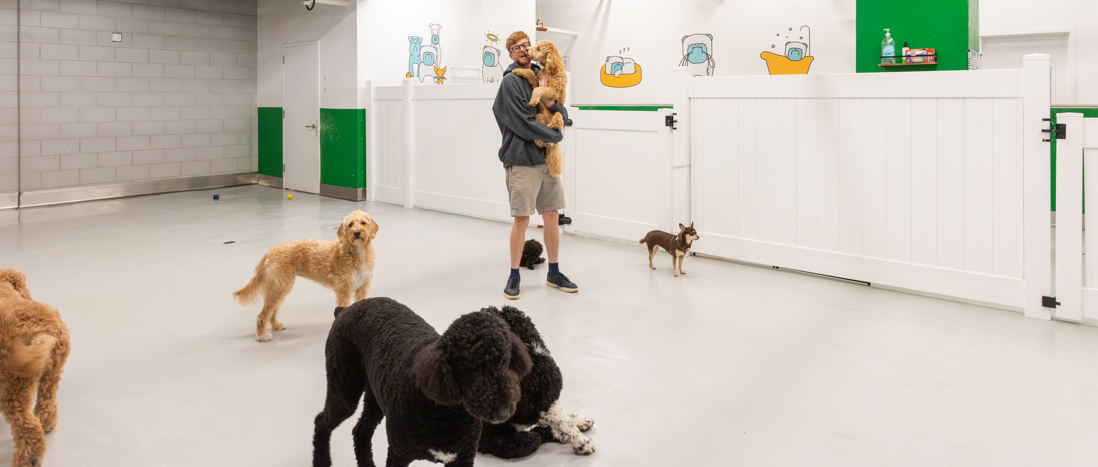 Throw Me A Bone Inc. / Dog Daycare, Grooming and Boarding - Pet groomer in New York, NY