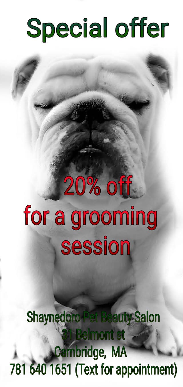 Shaynedoro Pet Beauty Salon - Pet groomer in Cambridge, MA