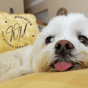 WoofMeow - Pet groomer in Brooklyn, NY