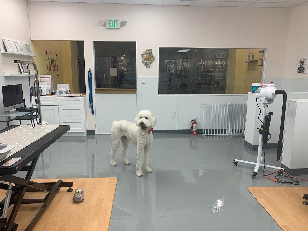 Bubble Pup Salon - Pet groomer in Los Angeles, CA