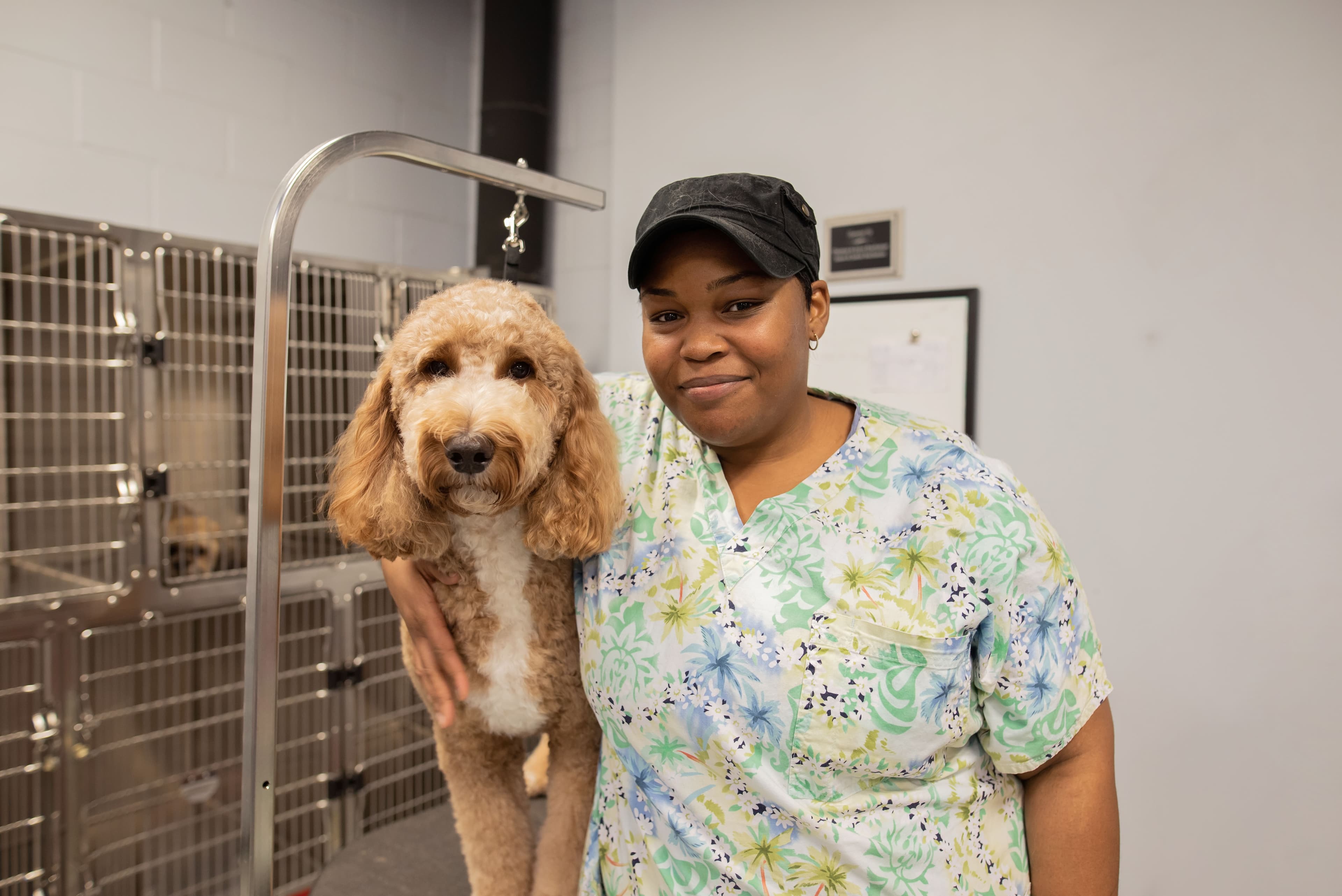 The Salon Furever Pets - Pet groomer in Lee's Summit, MO