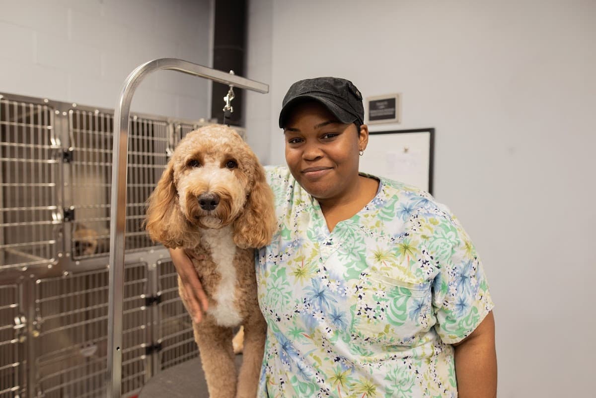 The Salon Furever Pets - Pet groomer in Lee's Summit, MO