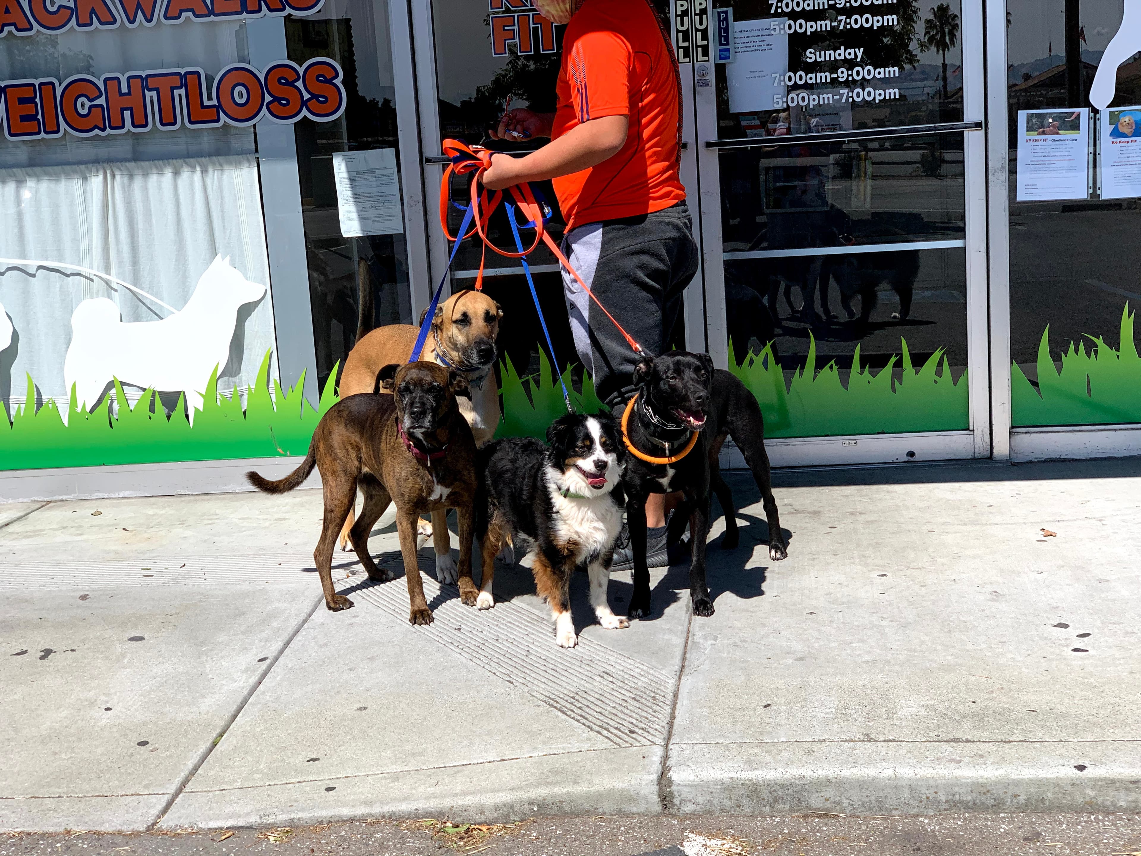 K9 Keep Fit - Pet groomer in San Jose, CA