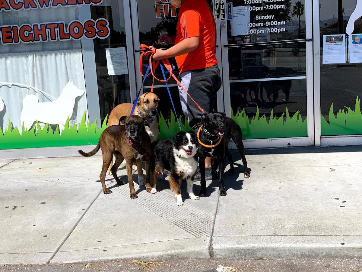 K9 Keep Fit - Pet groomer in San Jose, CA