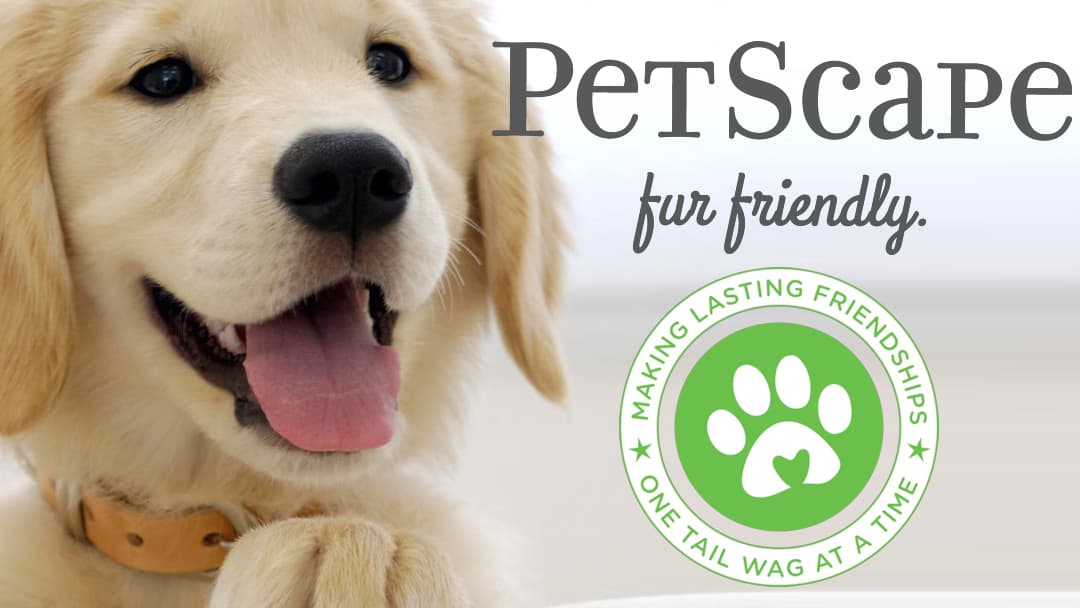 PetScape Grooming - Pet groomer in St Anthony, MN