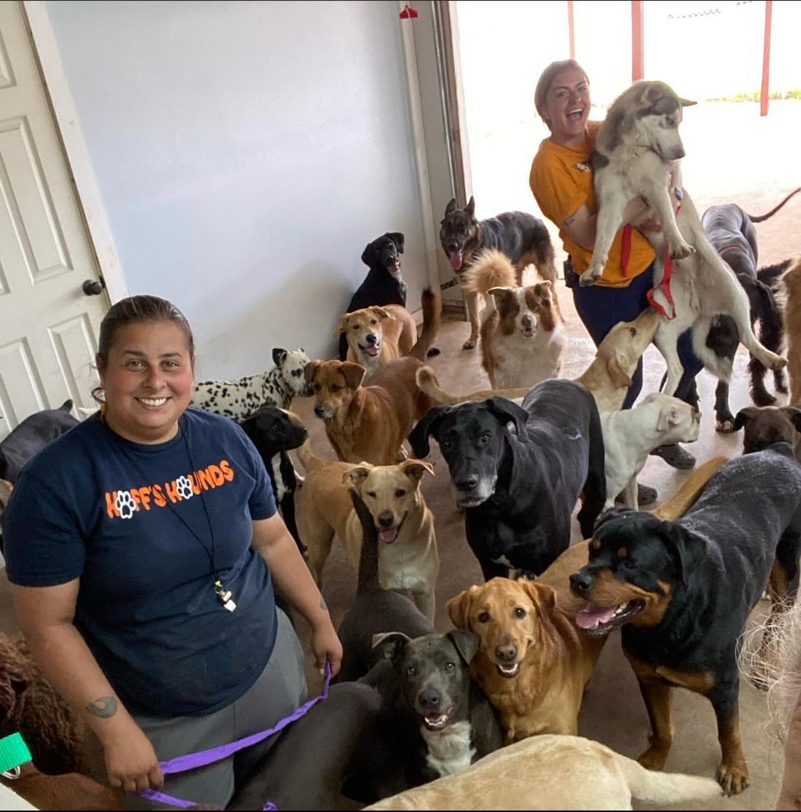 Hoff's Hounds - Pet groomer in San Antonio, TX