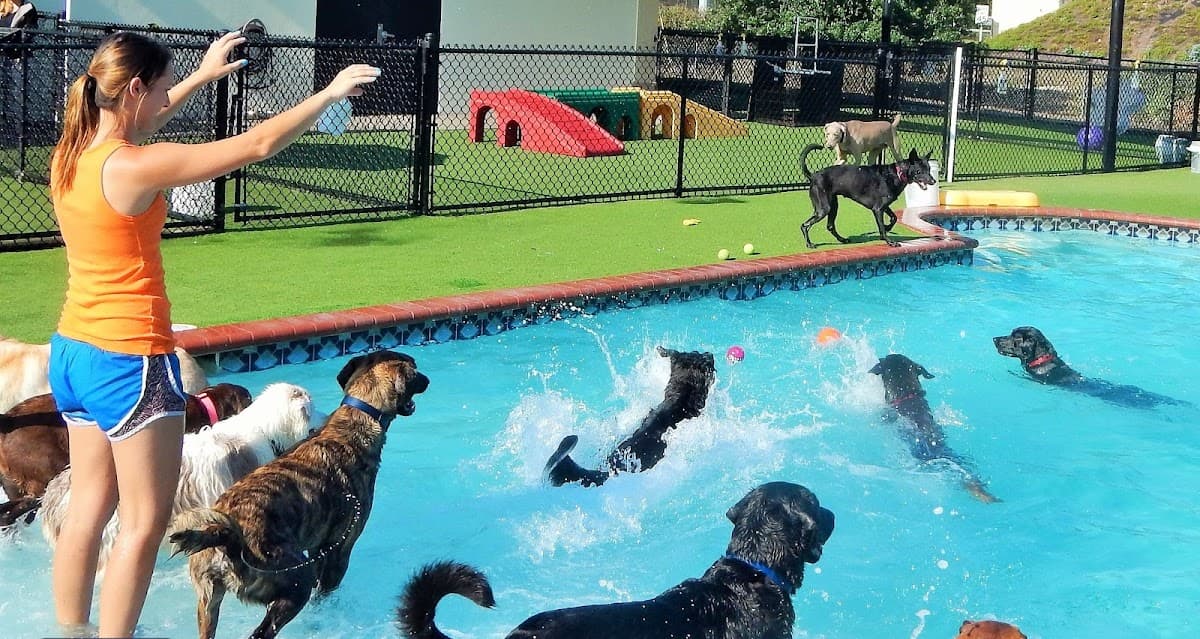 Happy Paws Pet Resort - Pet groomer in Orlando, FL