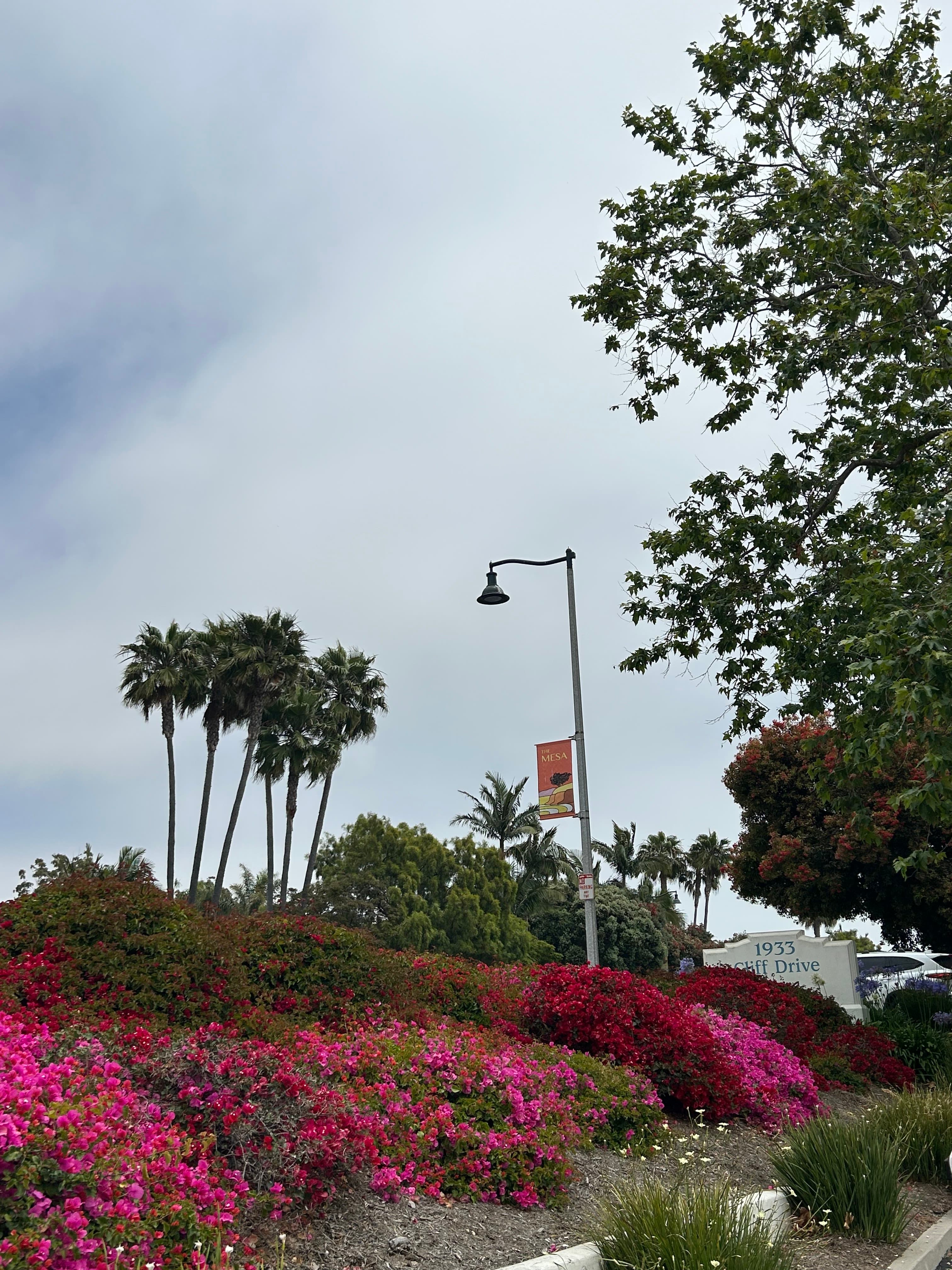 Dr. Adham Malaty - Santa Barbara World Class Psychiatry - Doctor in Santa Barbara, CA