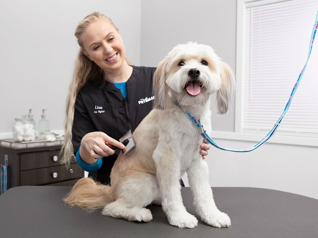 PetSmart - Pet groomer in San Francisco, CA