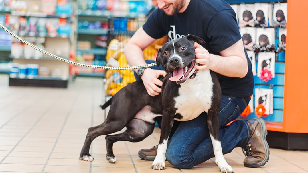 Doggie Style Pets Market - Pet groomer in Philadelphia, PA