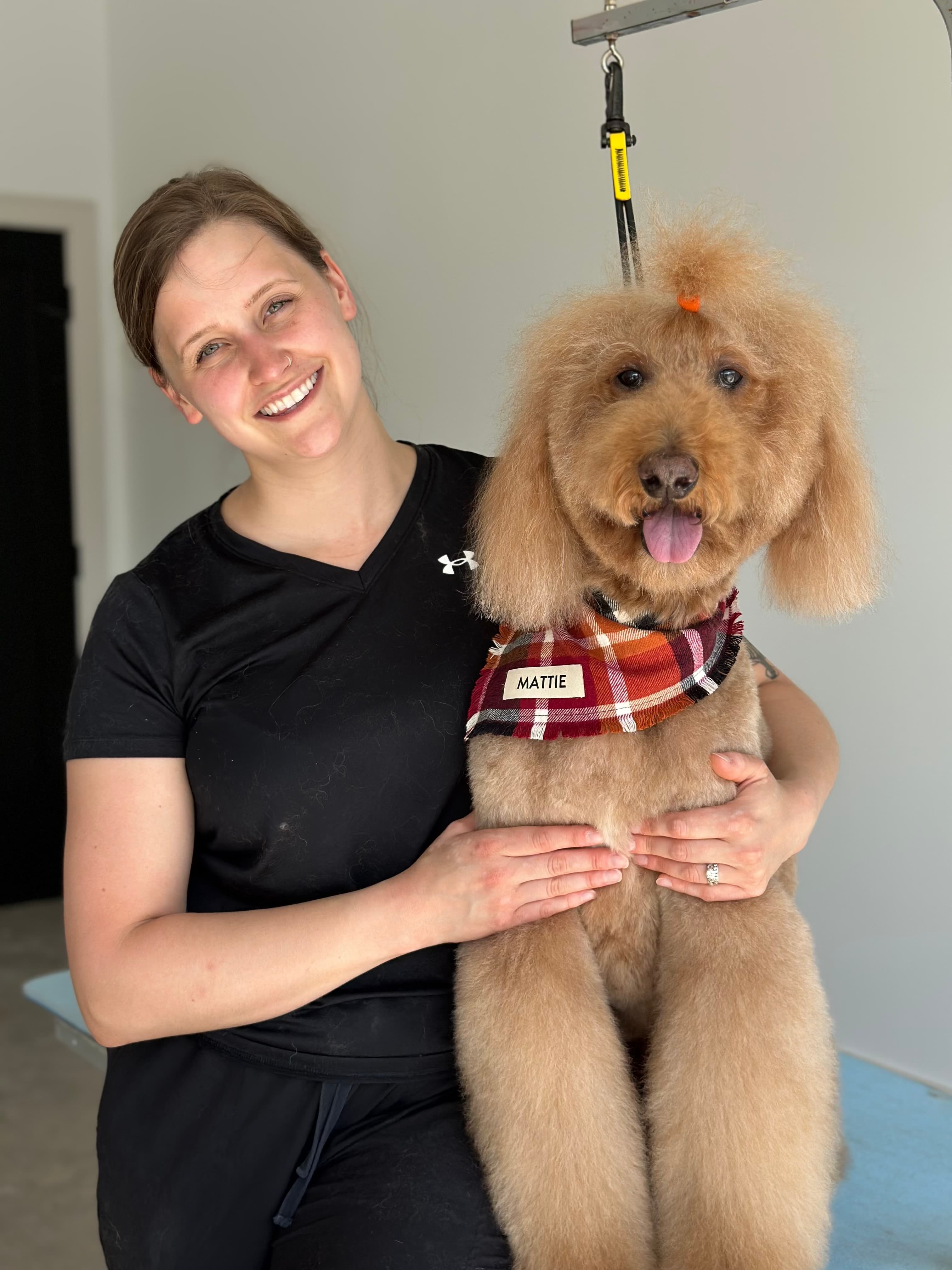 Zoom Groom Hopkins - Pet groomer in Hopkins, MN