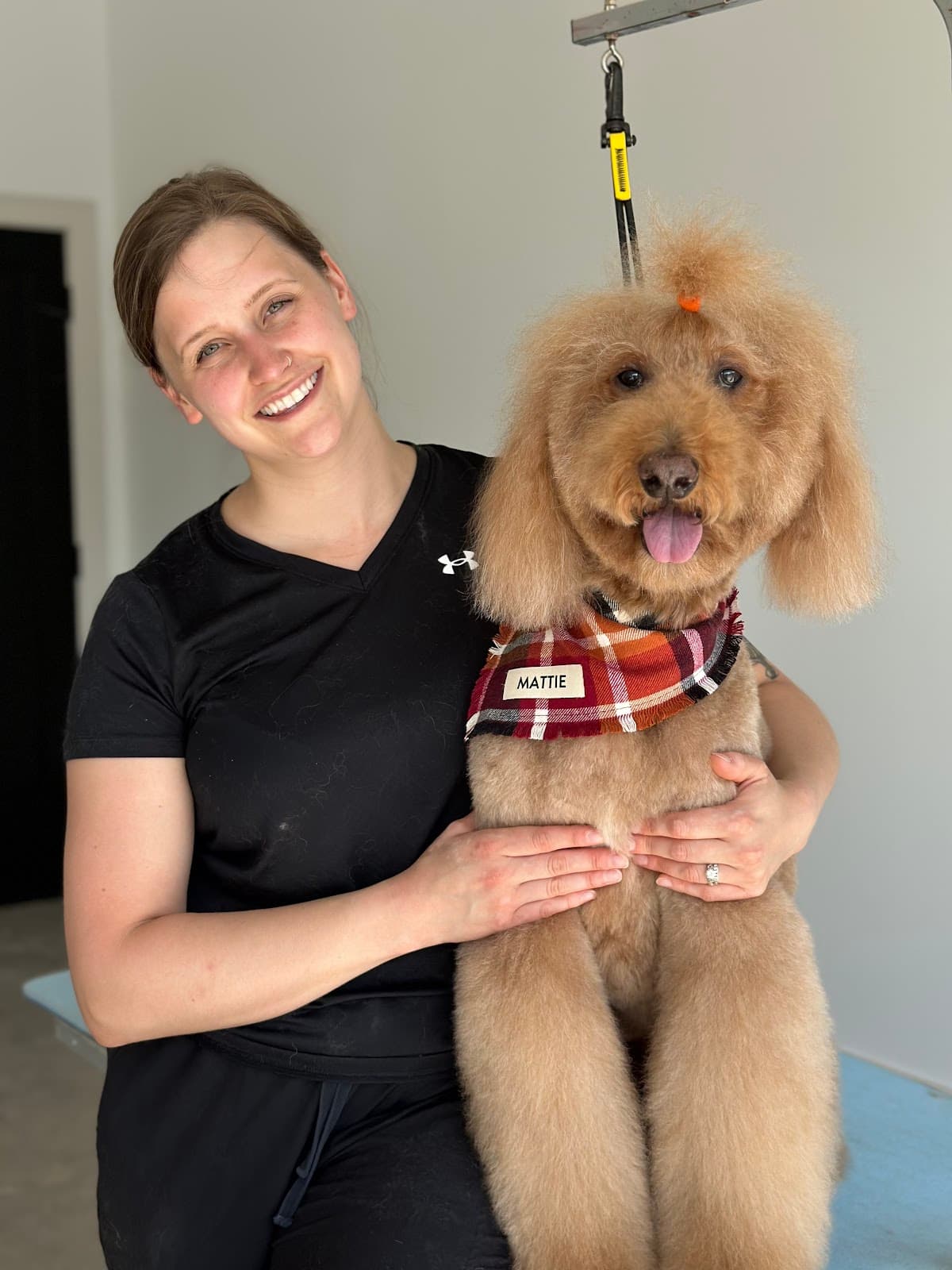 Zoom Groom Hopkins - Pet groomer in Hopkins, MN