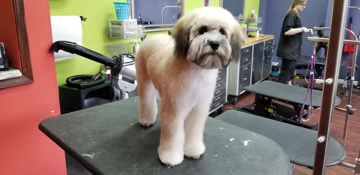 A Walk In the Park - Pet groomer in St. Louis, MO