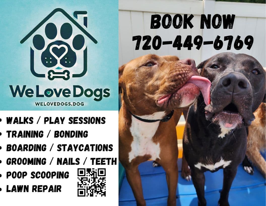 WeLoveDogs.Dog - Pet groomer in Denver, CO