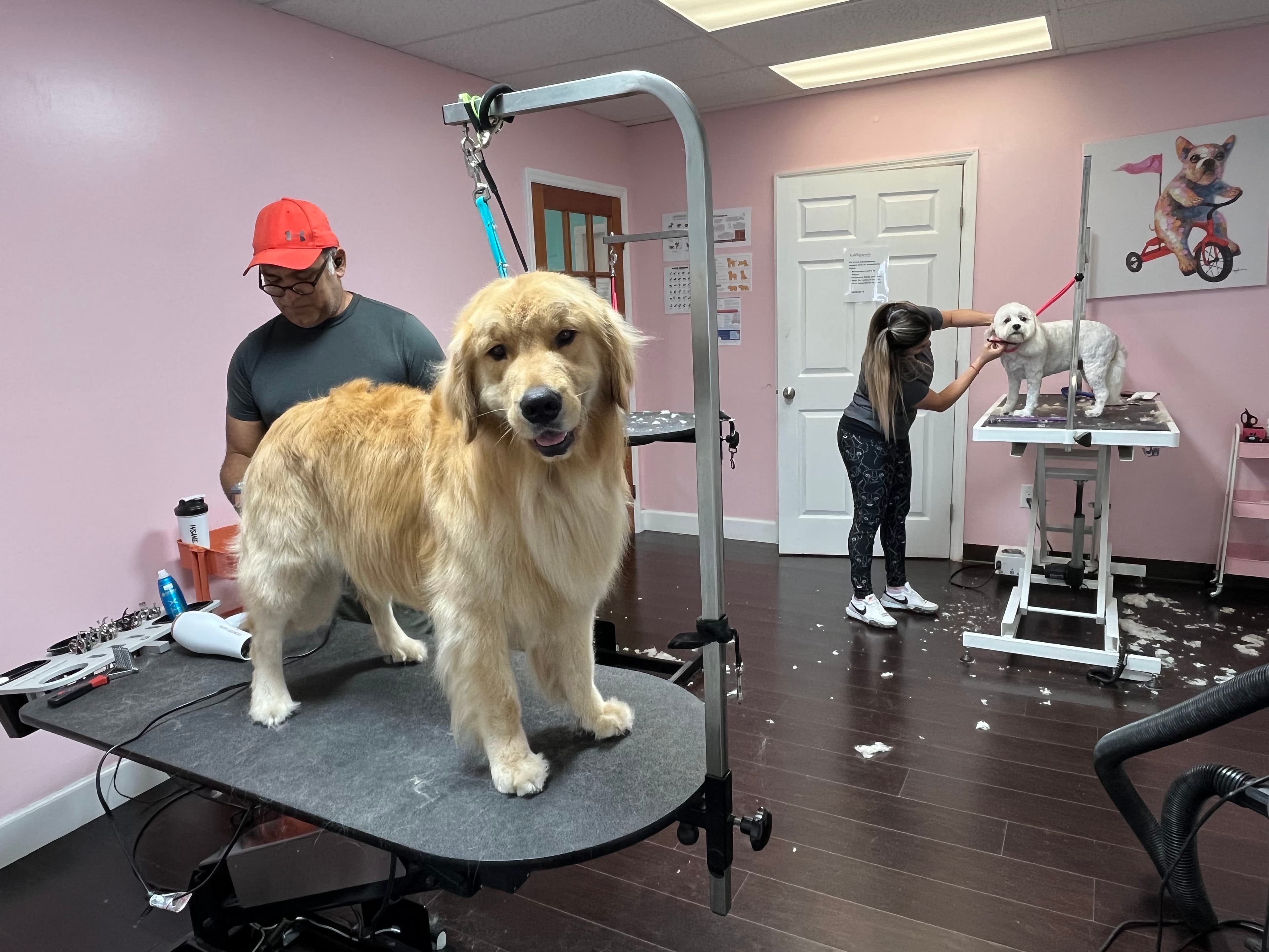 Lollipaws Grooming Services - Pet groomer in Fort Lauderdale, FL
