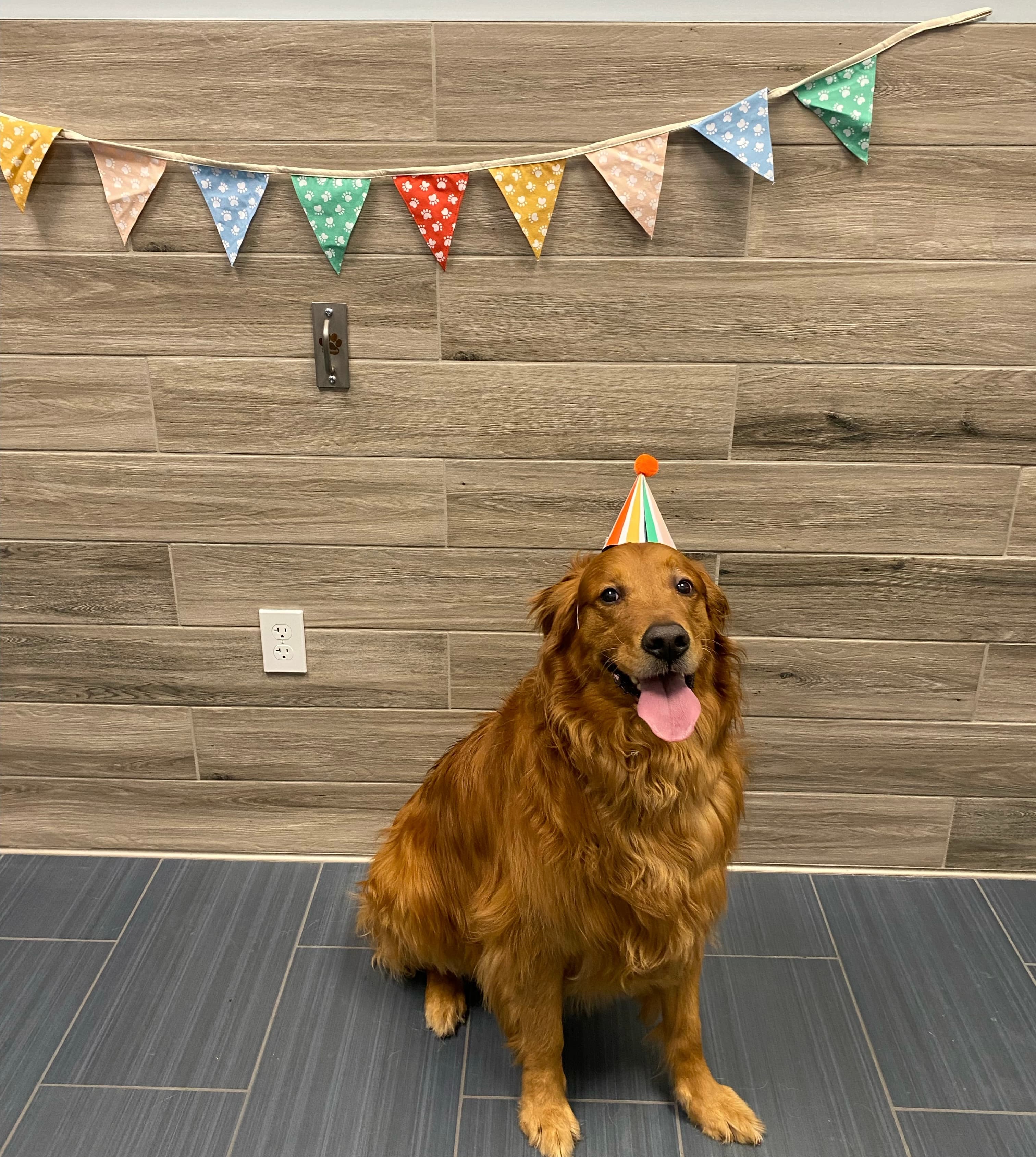 Camp Bow Wow Kansas City Northland - Pet groomer in Kansas City, MO