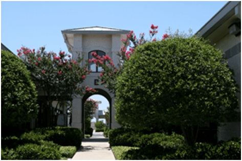 Connell & Associates - Doctor in Killeen, TX