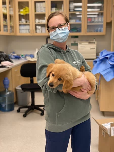 VCA Blossom Hill Animal Hospital - Pet groomer in San Jose, CA