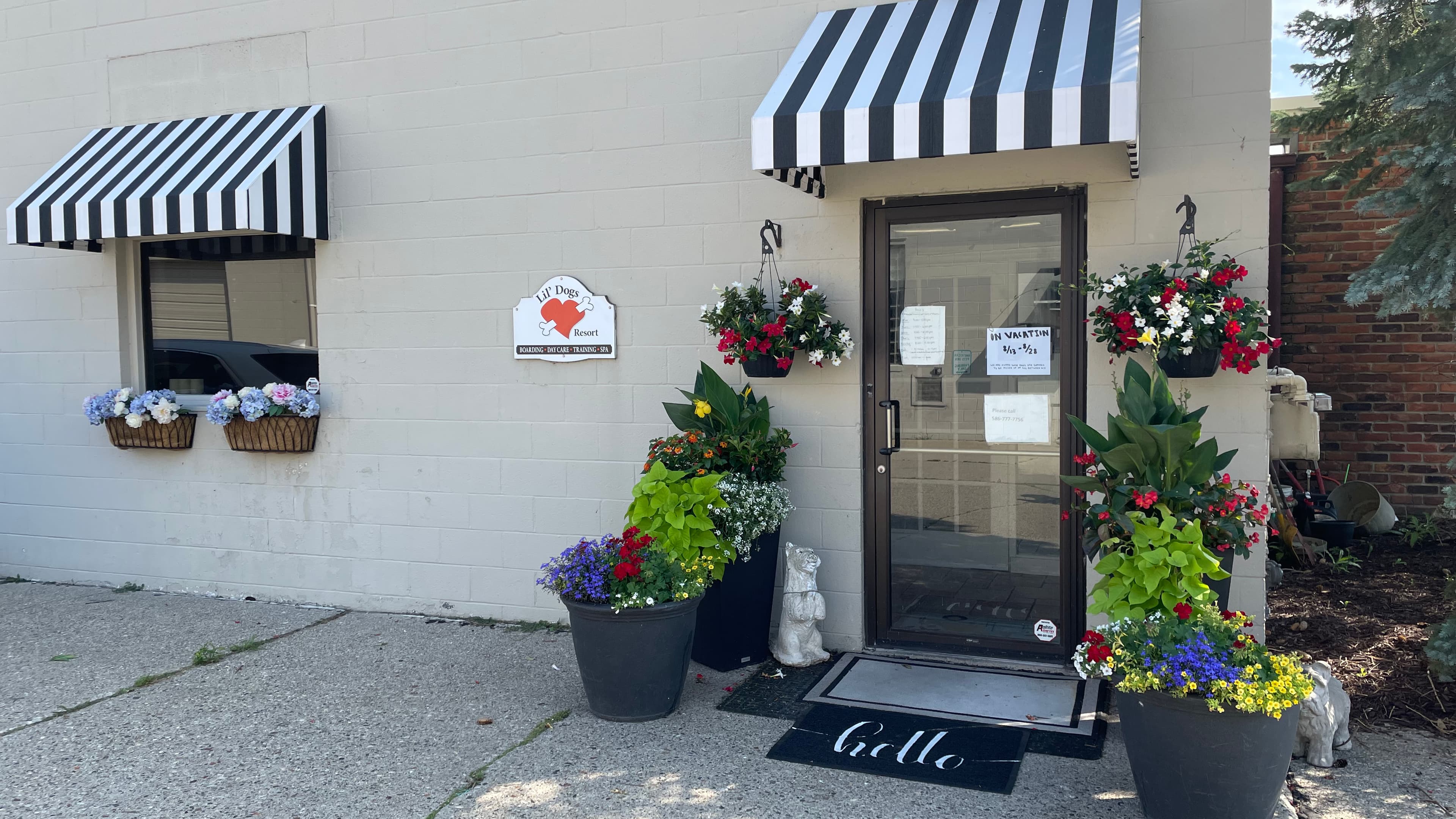 Lil' Dogs Resort - Pet groomer in St Clair Shores, MI