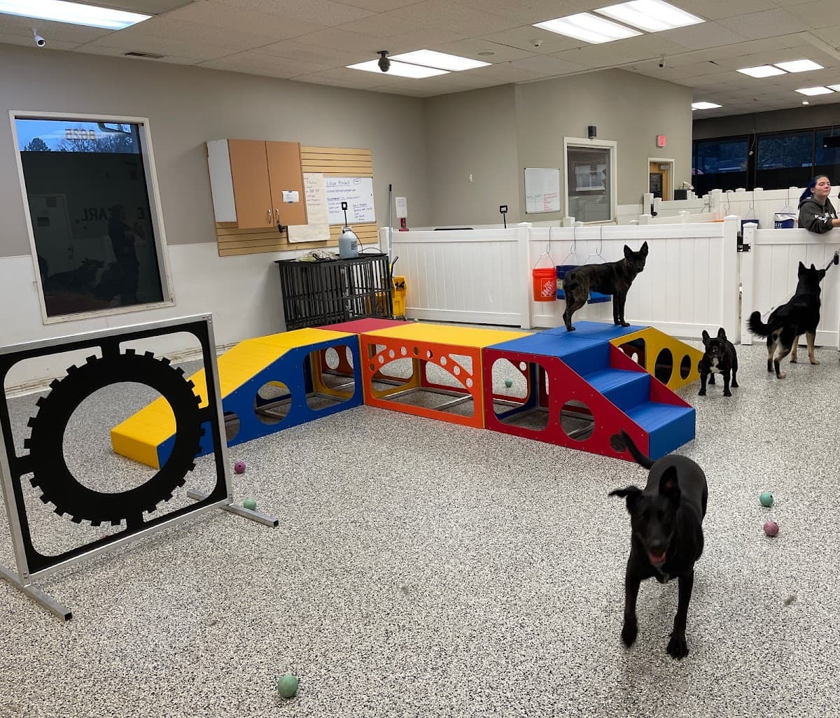 Barklandia - Pet groomer in Beaverton, OR