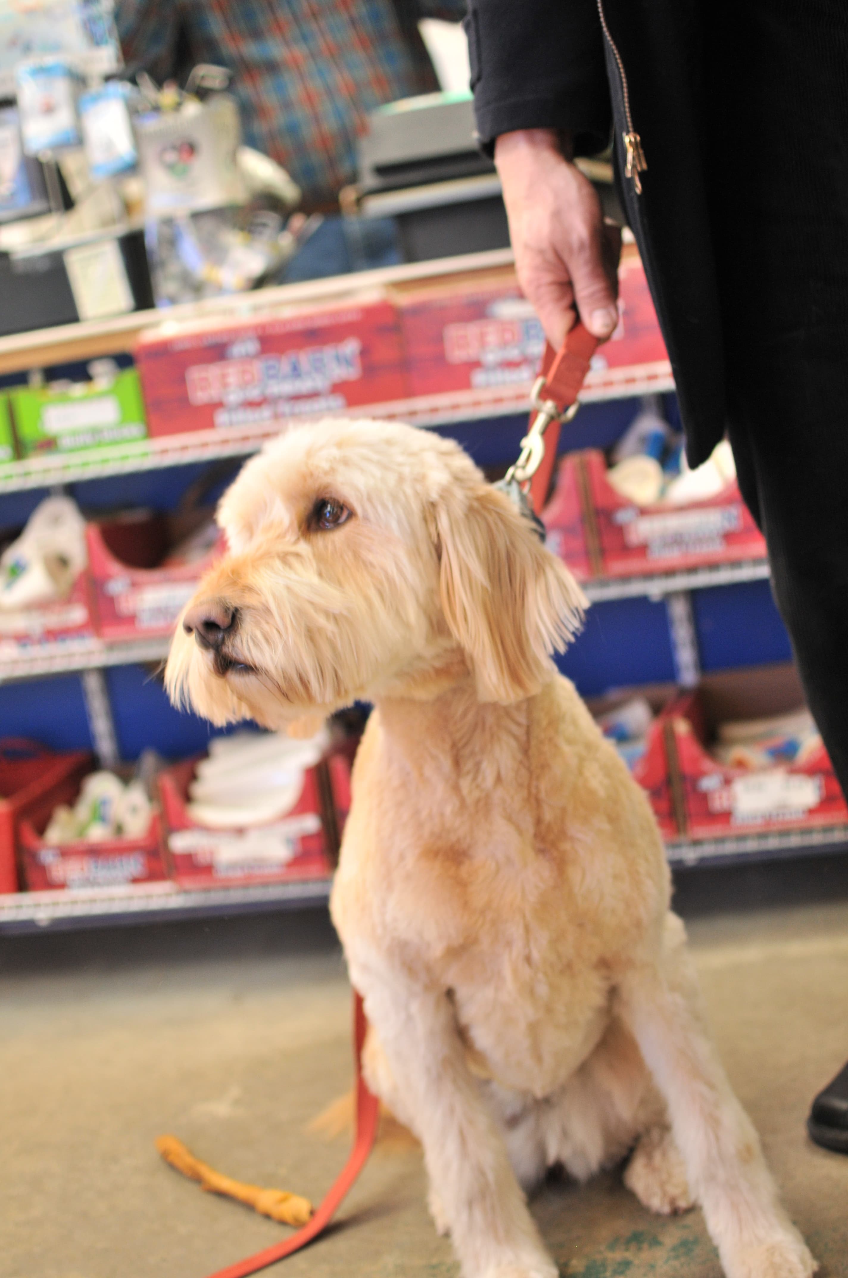 Anderson Township Family Pet Center - Pet groomer in Cincinnati, OH