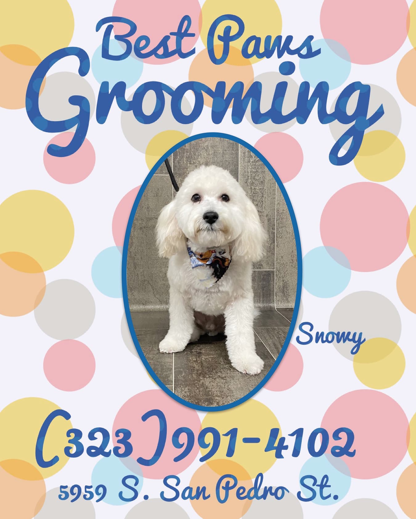 Best Paws Grooming - Pet groomer in Los Angeles, CA