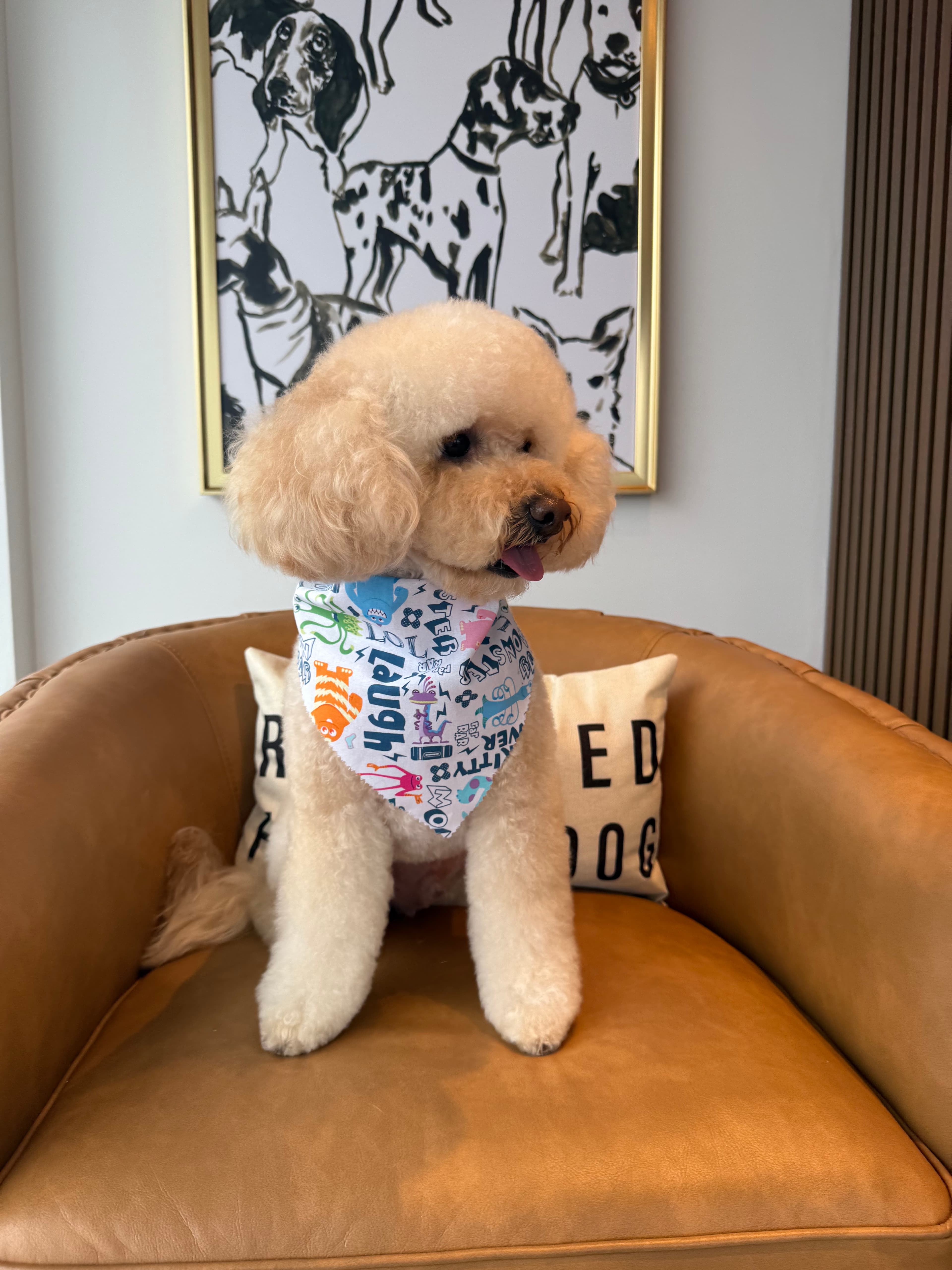 St Dog Pet Salon - Pet groomer in Newton, MA