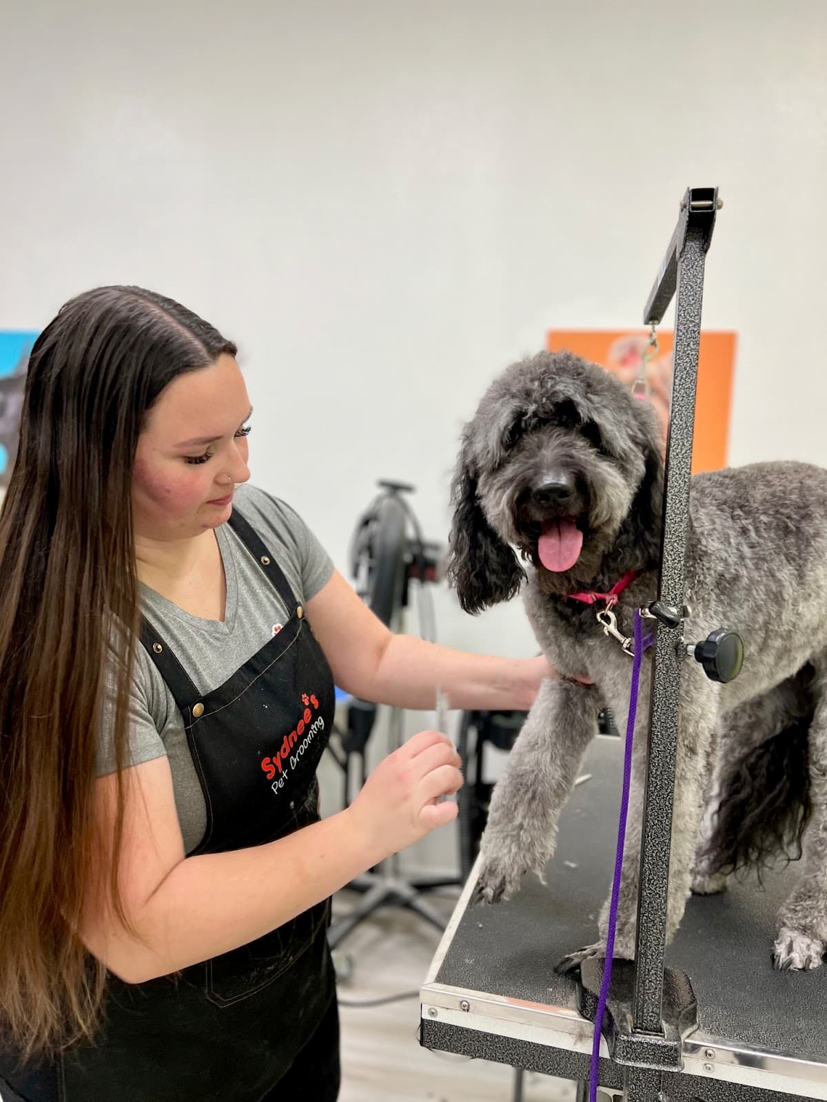 Sydnee's Pet Grooming - Pet groomer in Davis, CA