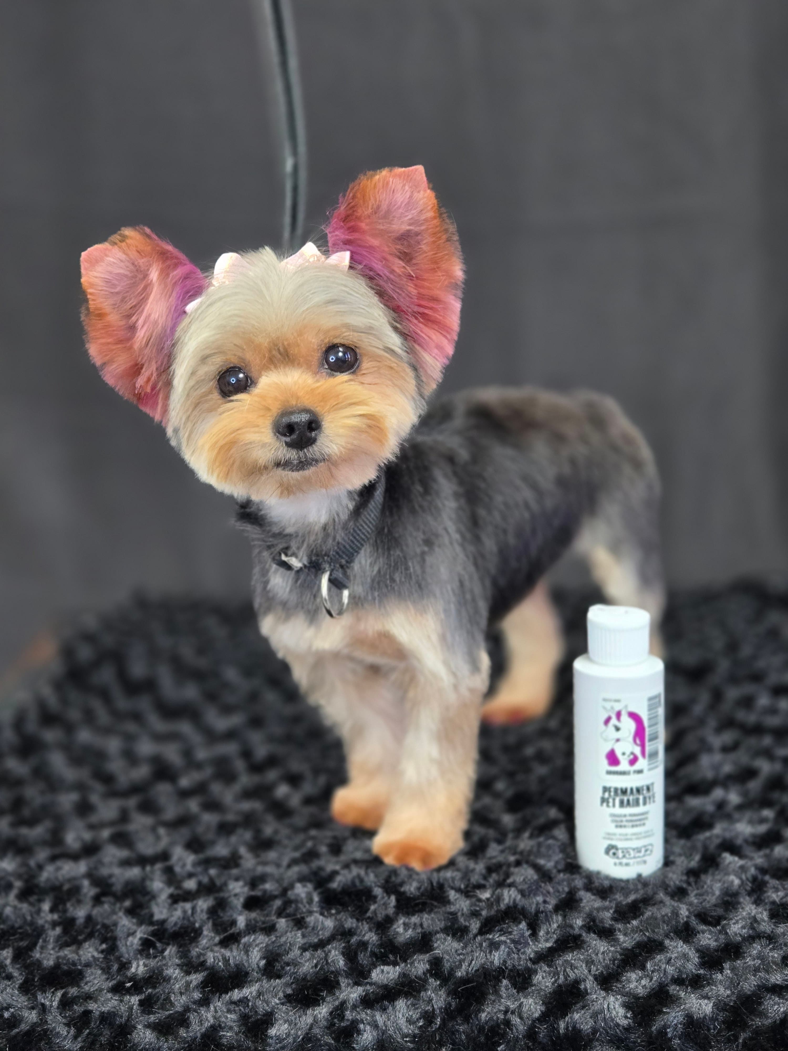 Fluffy Cutz Pet Stylist - Pet groomer in Houston, TX