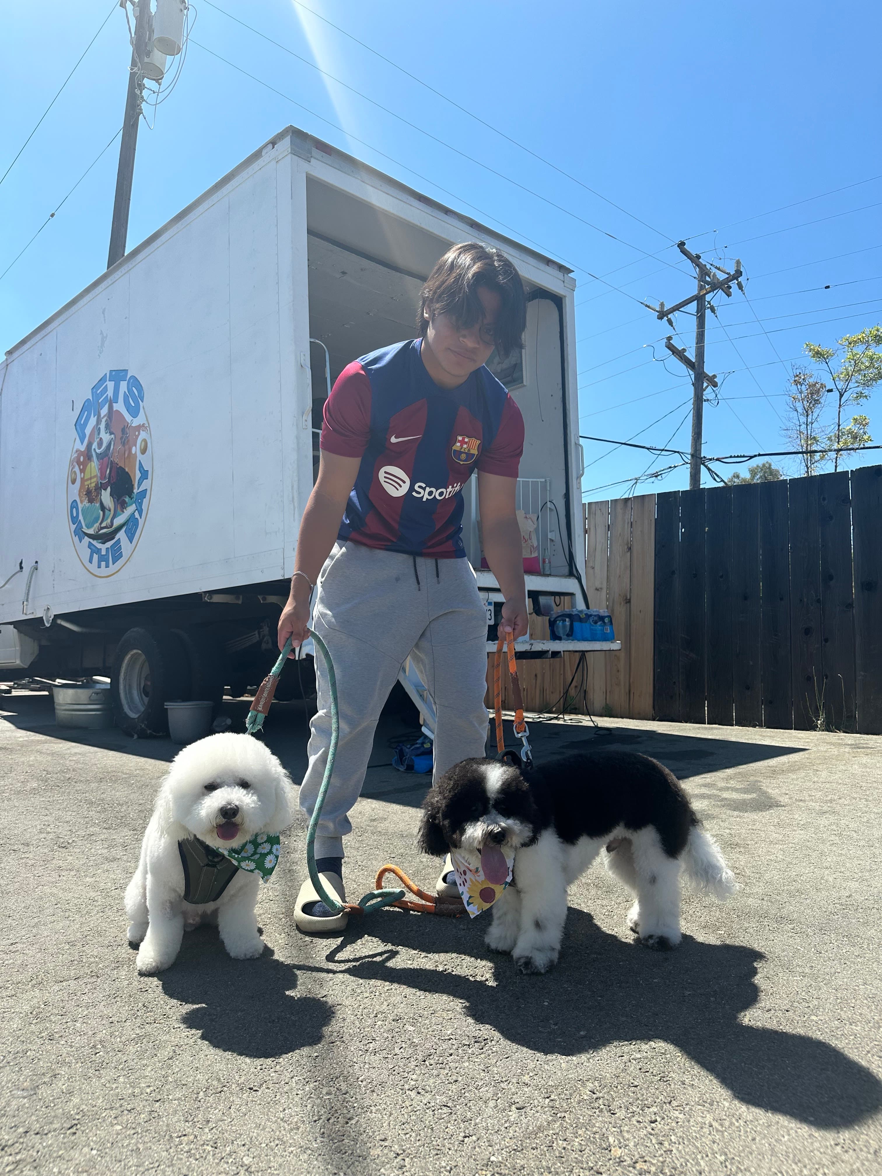 Pets of the bay - Pet groomer in San Jose, CA