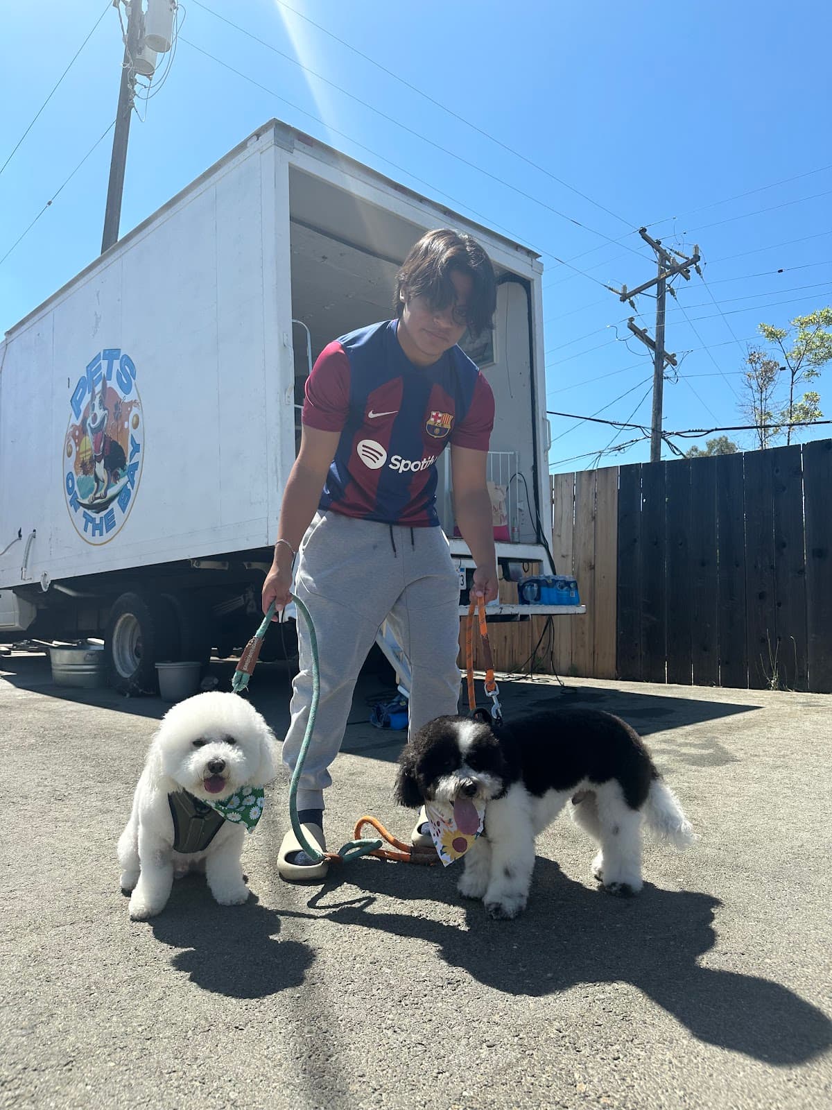 Pets of the bay - Pet groomer in San Jose, CA