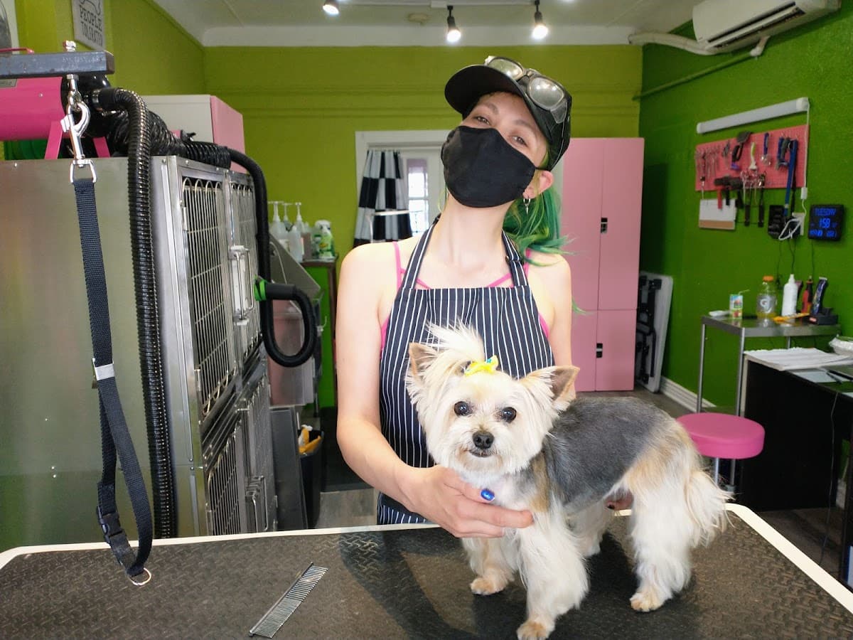 Doggy Style Salon - Pet groomer in Denver, CO