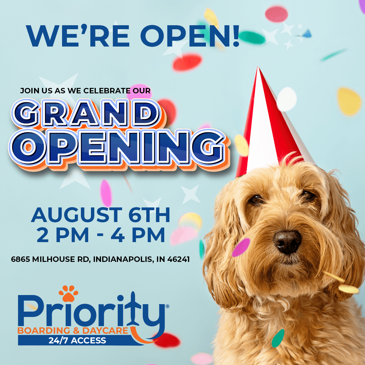 Priority Boarding - Pet groomer in Indianapolis, IN