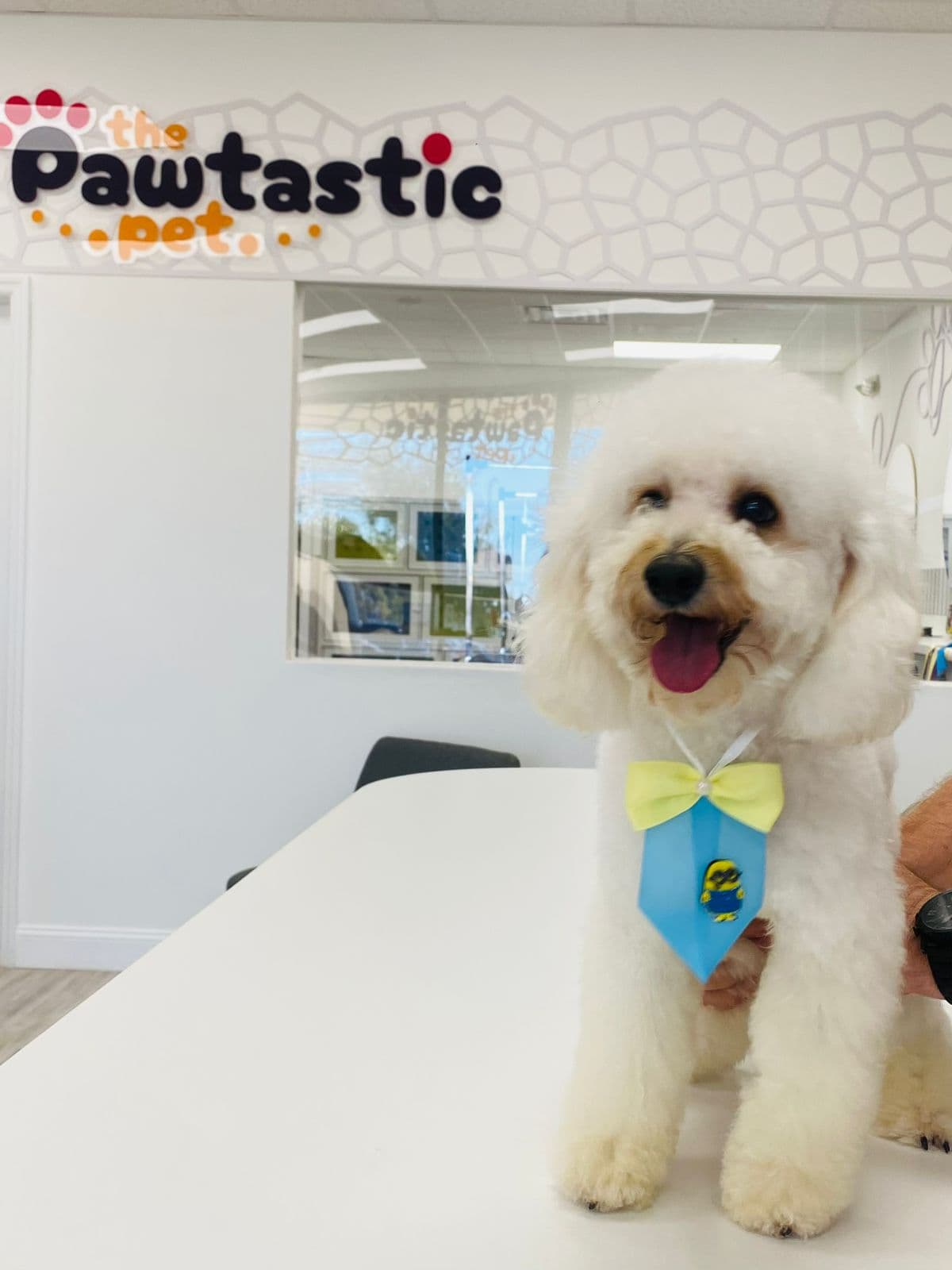 The Pawtastic Pet Shop - Pet groomer in Orlando, FL