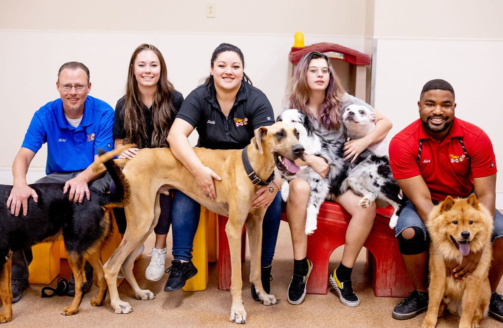 Tempe Dogs 24/7 - Pet groomer in Tempe, AZ