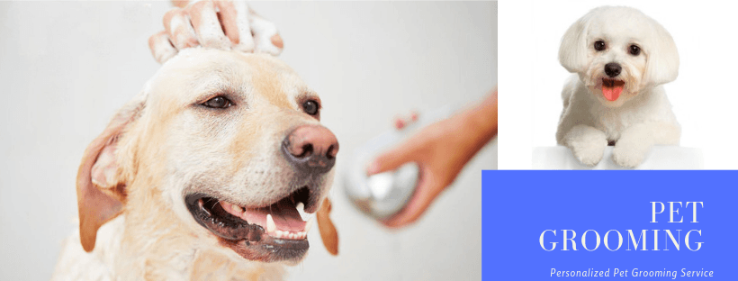 Dog Groomming - Pet groomer in New York, NY