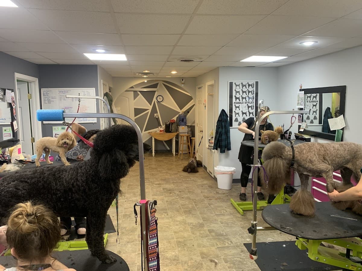 The Grooming Gallery - Pet groomer in Newport News, VA